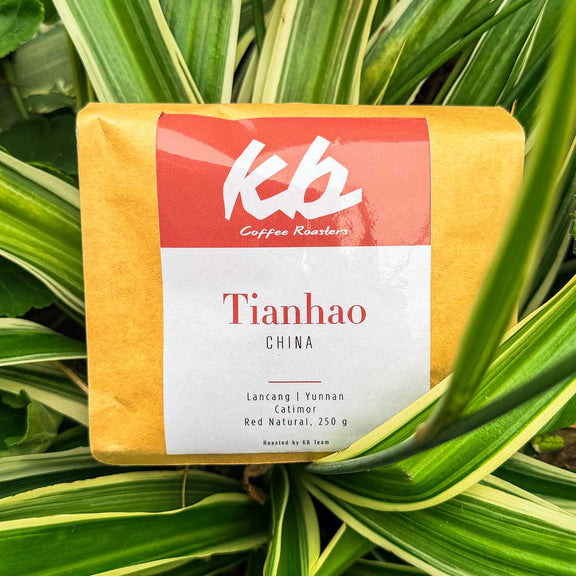 China Tianhao 250g