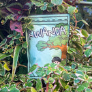 Rwanda Cyato Natural 250g