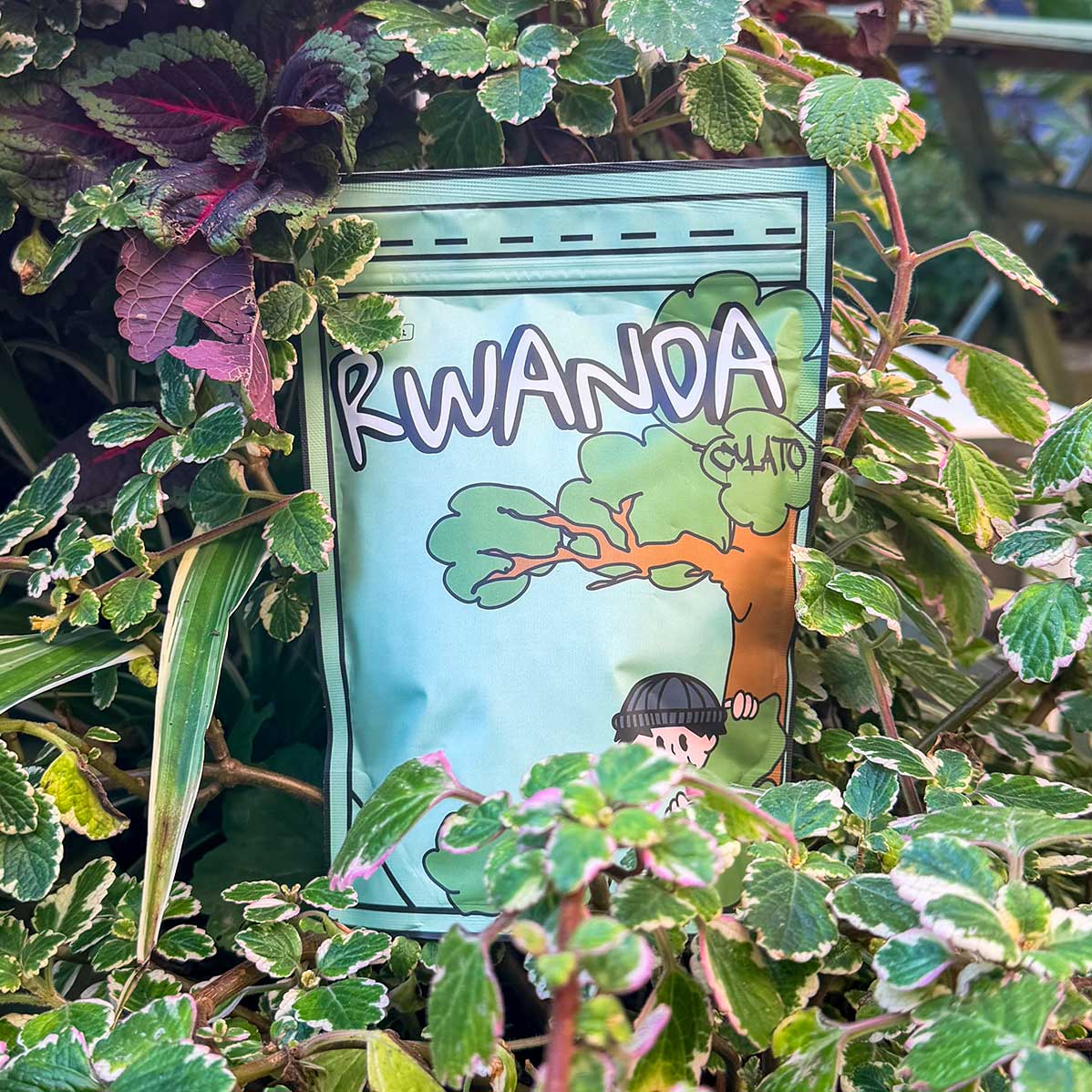 Rwanda Cyato Natural 250g