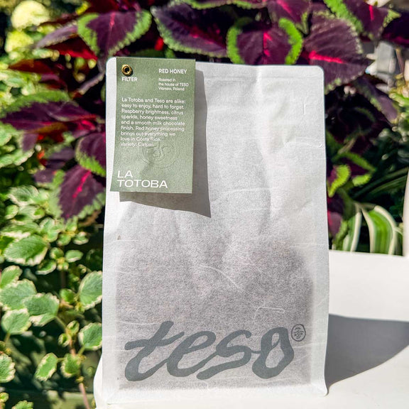 Kostaryka La Totoba Red Honey 250g